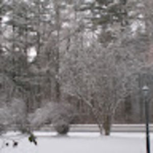 Meet your Posher, Ronald